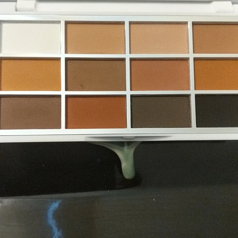 NWT Eyeshadow Palette